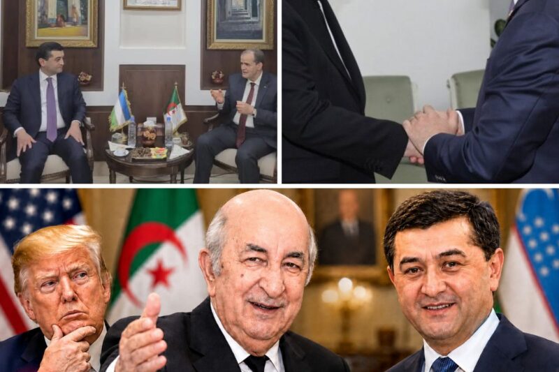Algérie–Ouzbékistan : pourquoi ce rapprochement inattendu intrigue les chancelleries